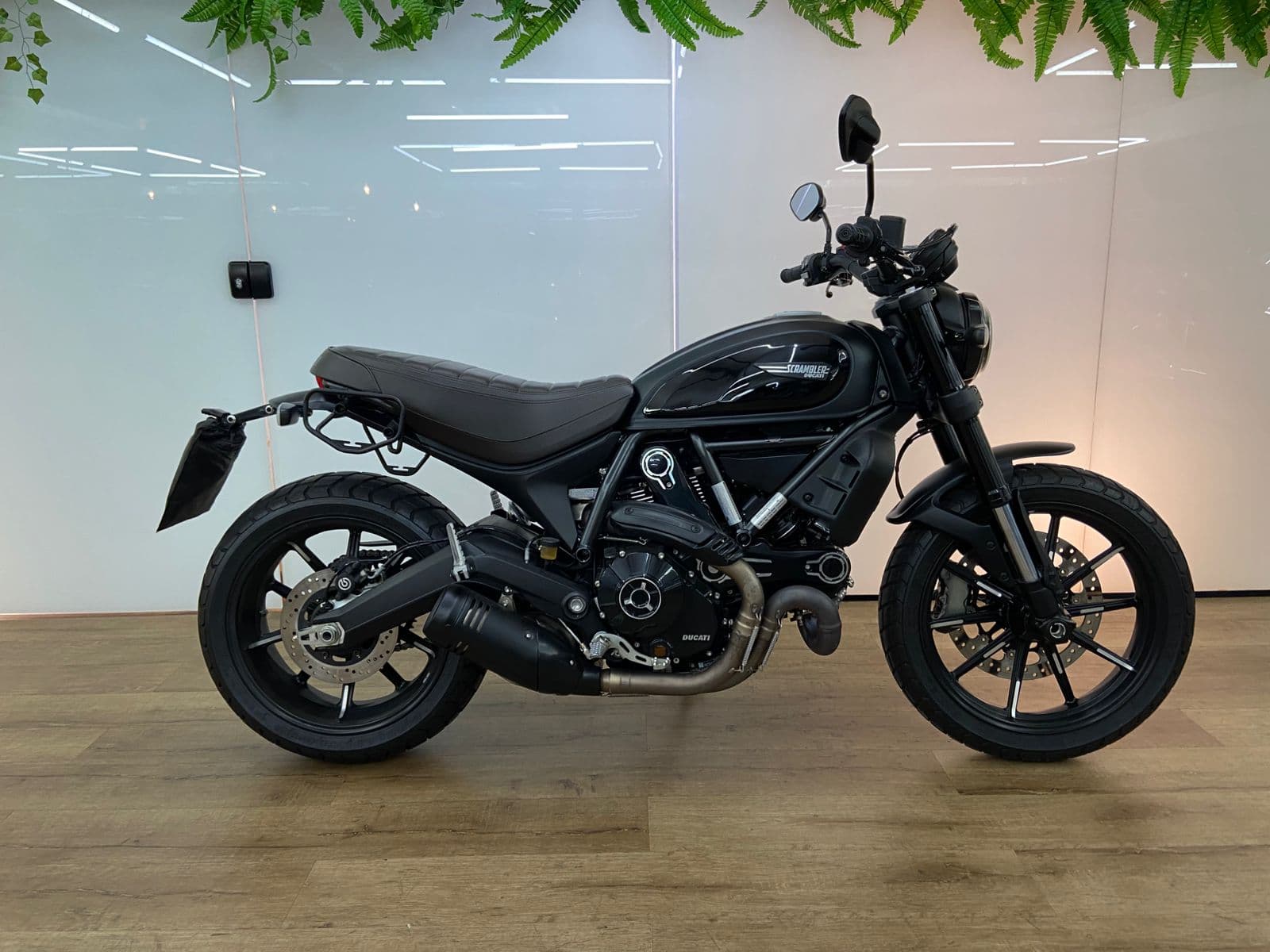 DUCATI SCRAMBLER ICON 800cc