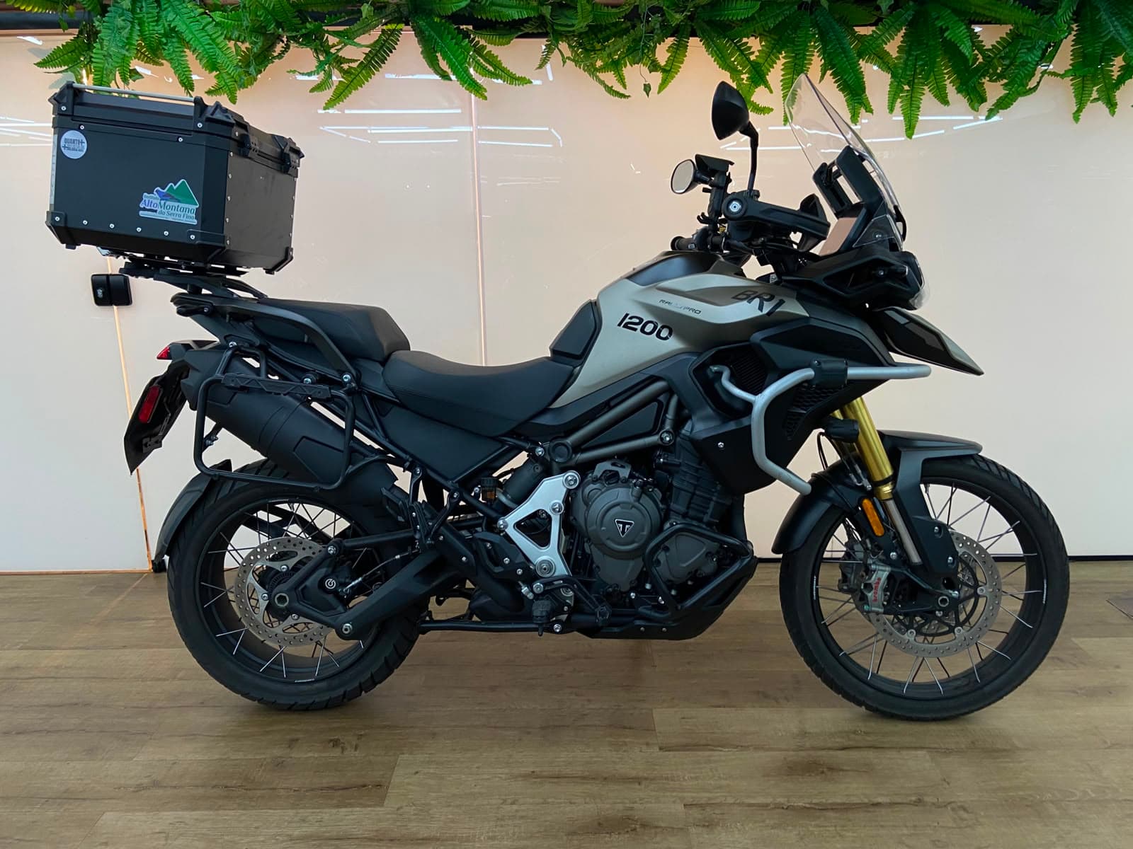 TRIUMPH TIGER 1200 RALLY PRO